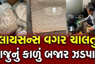 Ahmedabad Kathwada GIDC Raid