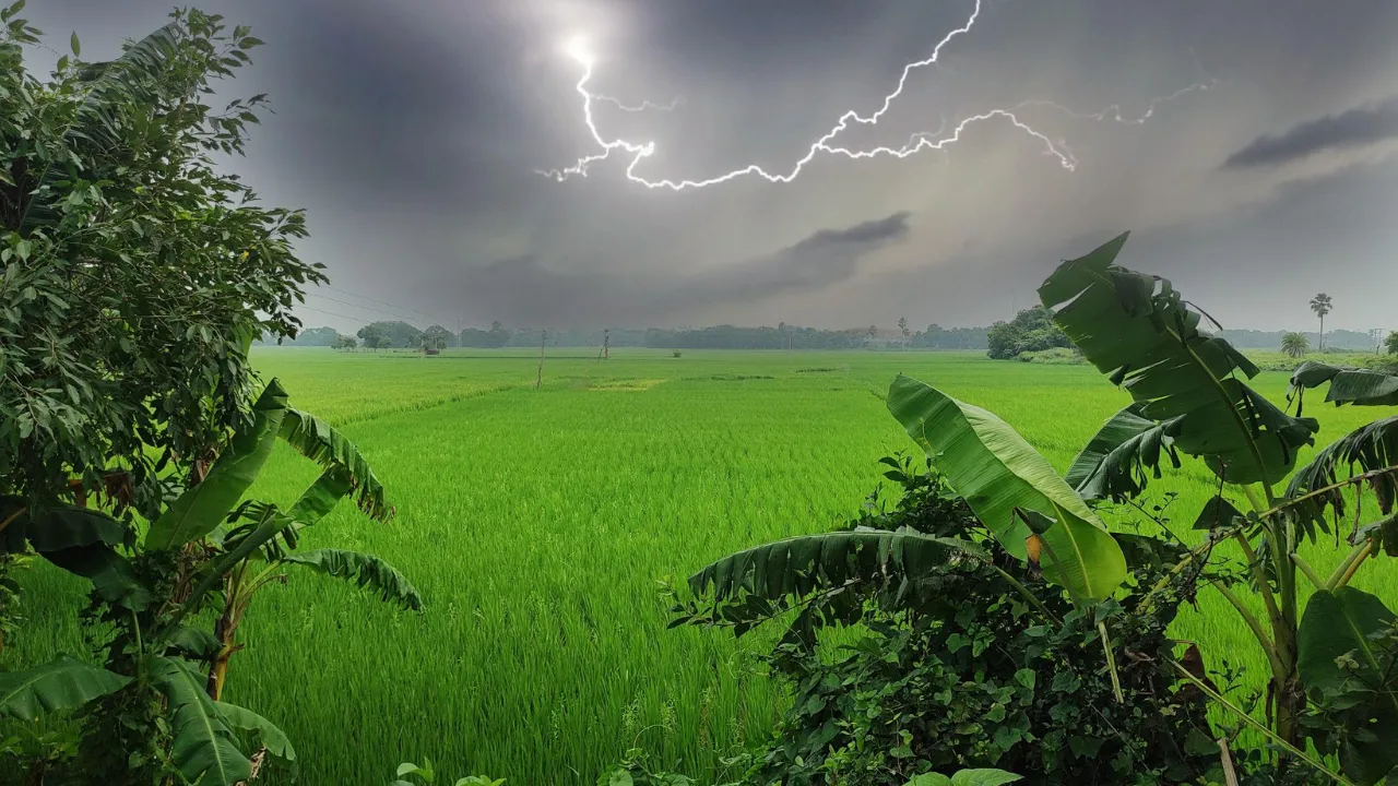 Ambalal Patel Rain Forecast 2026