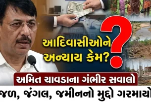 Amit Chavda Jan Akrosh Yatra Dang