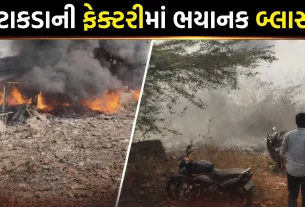 Andhra Pradesh Firecracker Factory Blast