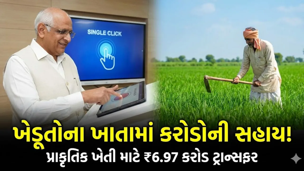 Gujarat Natural Farming Assistance