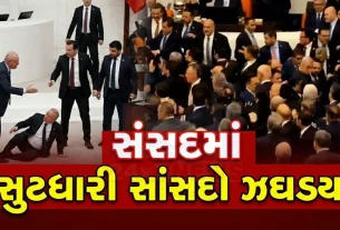 ઘર્ષણ દરમિયાન વિપક્ષ CHPના એક સાંસદ (Turkish Parliament)ને નાકમાં ઈજા થઈ અને લોહી વહેતા જોવા મળ્યા.