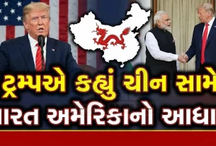 ટ્રમ્પ (Trump)વહીવટીતંત્રે પણ પાકિસ્તાનને અમેરિકાનું મહત્વપૂર્ણ ભાગીદાર ગણાવ્યું છે. કપૂરે ગૃહ સમિતિ સમક્ષ પ્રાદેશિક જોડાણમાં પાકિસ્તાનની ભૂમિકા પર ભાર મૂક્યો હતો.