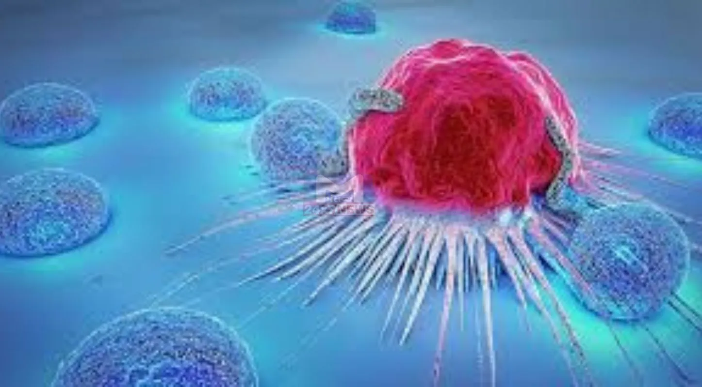Cancer Diagnosis,ભારતમંડપમ્,AI સમિટ,MRI મશીન,