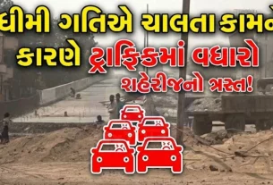 અમદાવાદ મ્યુનિસિપલ કોર્પોરેશન (AMC) દ્વારા હાથ ધરાયેલ આ ચાર-લેન ફ્લાયઓવર પ્રોજેક્ટની લંબાઈ આશરે 975 મીટર છે, જ્યારે પહોળાઈ 16.50 મીટર છે.