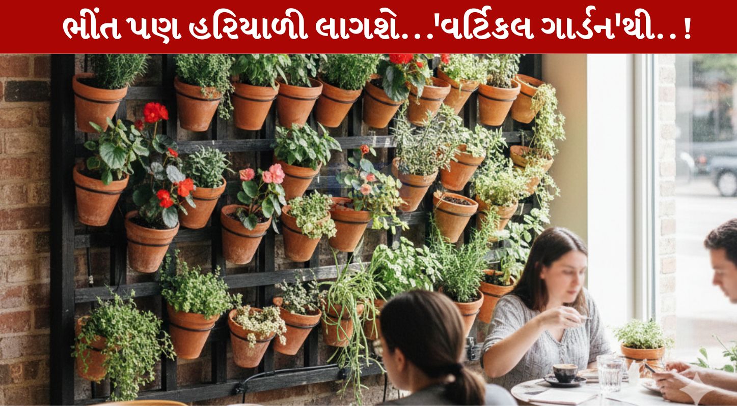 આંગણામાં જગ્યા નથી? તો ઘરની દિવાલોને હરિયાળી બનાવો…કોકોપીટથી સજાવો વર્ટિકલ ગાર્ડન..!