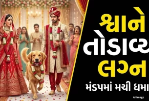 UP Marriage broke because of dog