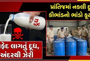 દરોડા દરમિયાન ફેક્ટરીમાંથી મોટા પ્રમાણમાં કાચો માલ, ભેળસેળયુક્ત દૂધ (Fake milk), છાશ, તેલ, કેમિકલ તેમજ અદ્યતન મશીનરી કબજે લેવામાં આવી છે.