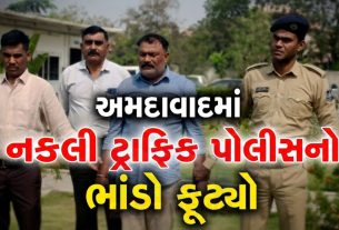 fake police, traffic police impersonation