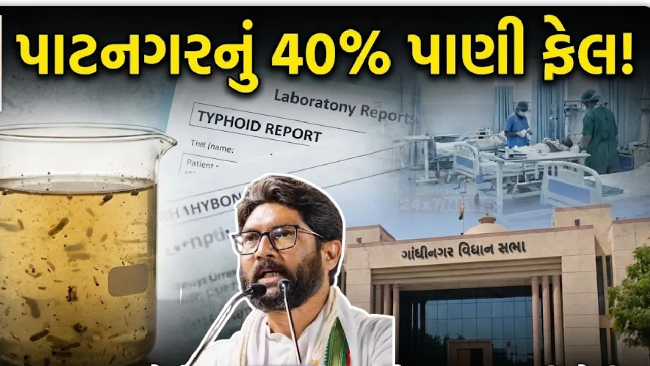 Gandhinagar Typhoid Cases Assembly