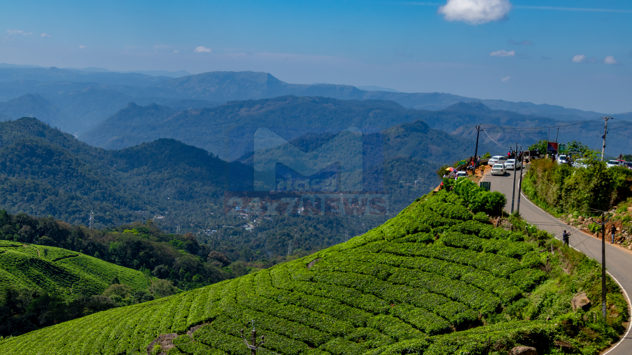 Tea gardens kerala