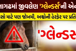 Junagadh Horse Disease Glanders