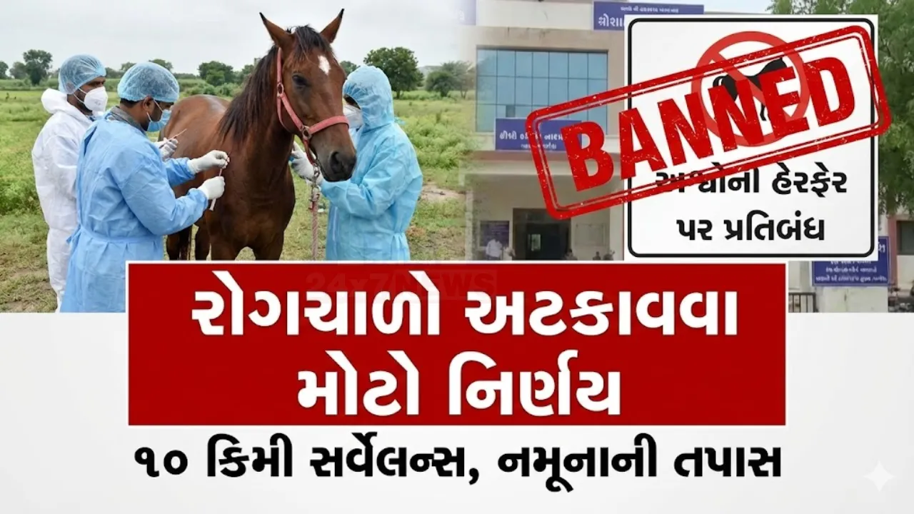 Junagadh Horse Disease Glanders