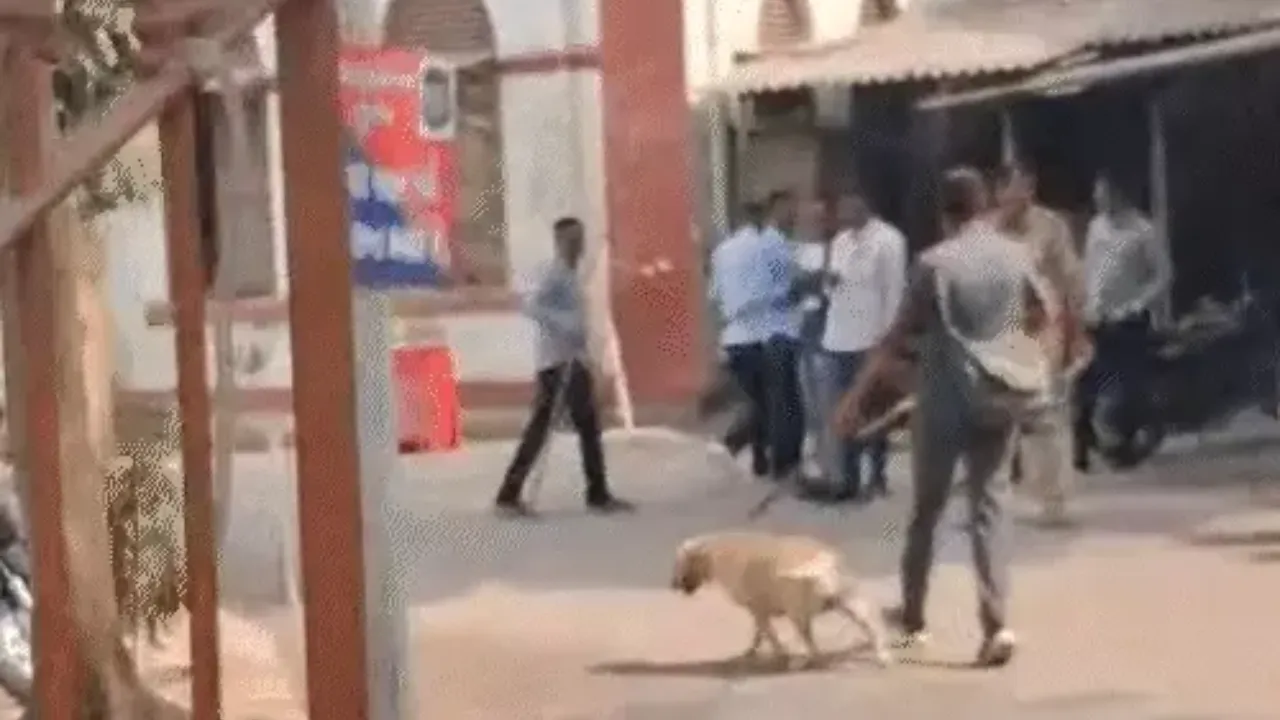 Rajkot Collector Office Bomb Threat