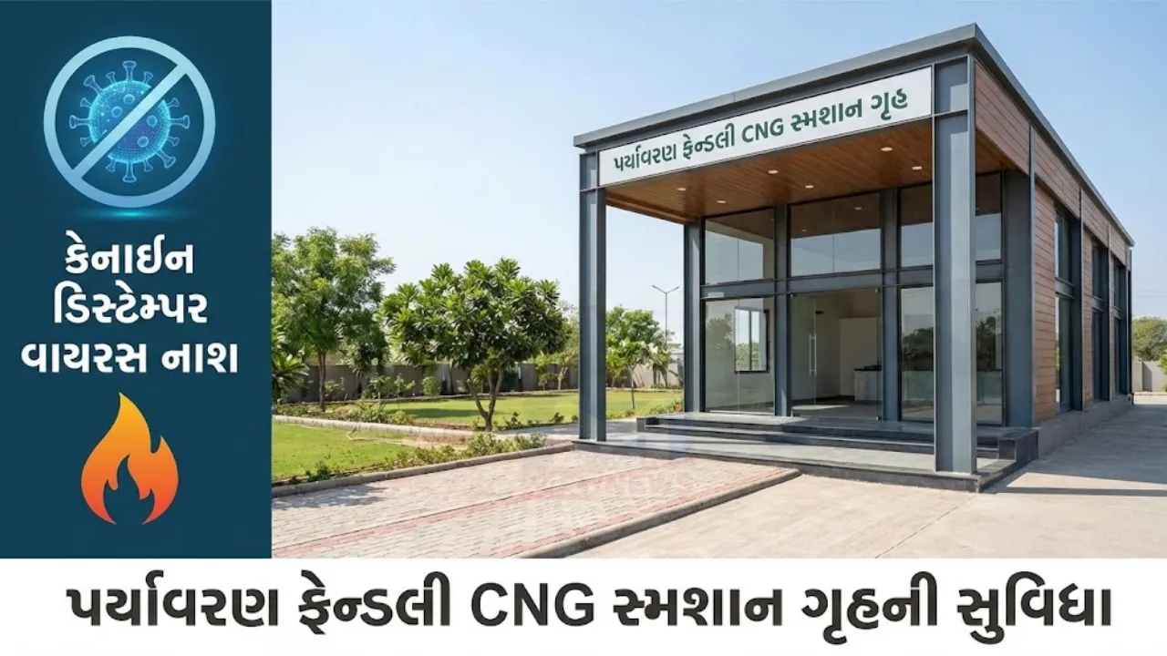 Ahmedabad CNG Dog Crematory
