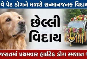 Ahmedabad CNG Dog Crematory