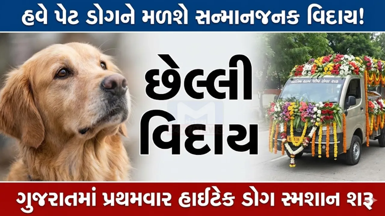 Ahmedabad CNG Dog Crematory