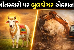 Gujarat Government Action on Cow Smuggling
