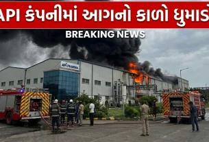 રસાયણિક પદાર્થો અને જ્વલનશીલ (Fire API Company)સામગ્રીનો ઉપયોગ થતો હોવાથી સુરક્ષા માપદંડો અત્યંત મહત્વપૂર્ણ બને છે.