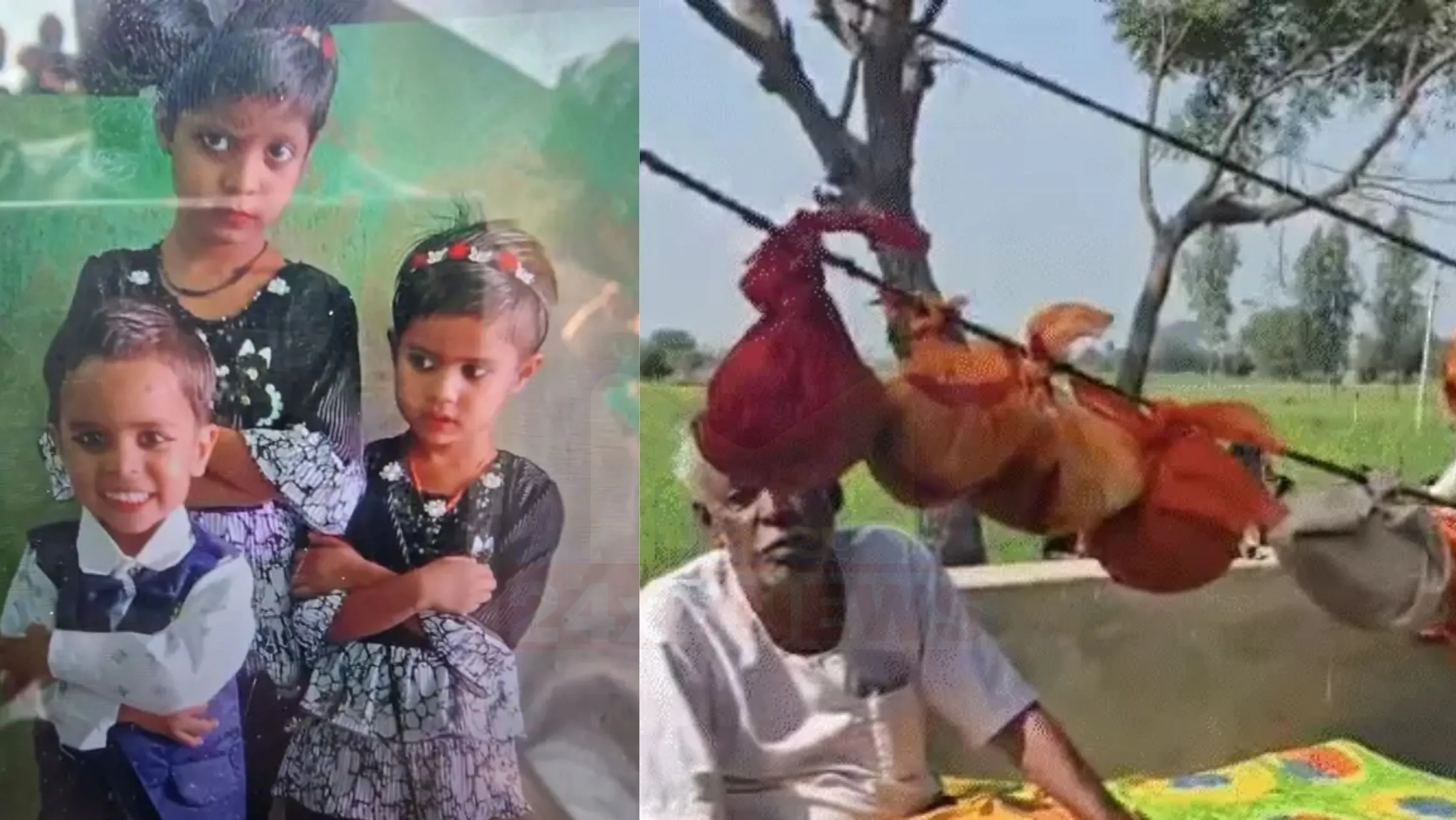 પરિવારના પાંચ સભ્યોના મોત (Family Murder)ની ઘટનામાં પ્રાથમિક તપાસમાં પોલીસની થિયરી મુજબ પતિ મનીષે પત્ની અને ત્રણ બાળકોની હત્યા (Family Murder)કર્યા બાદ આત્મહત્યા કરી હોવાની શક્યતા વ્યક્ત કરવામાં આવી છે.