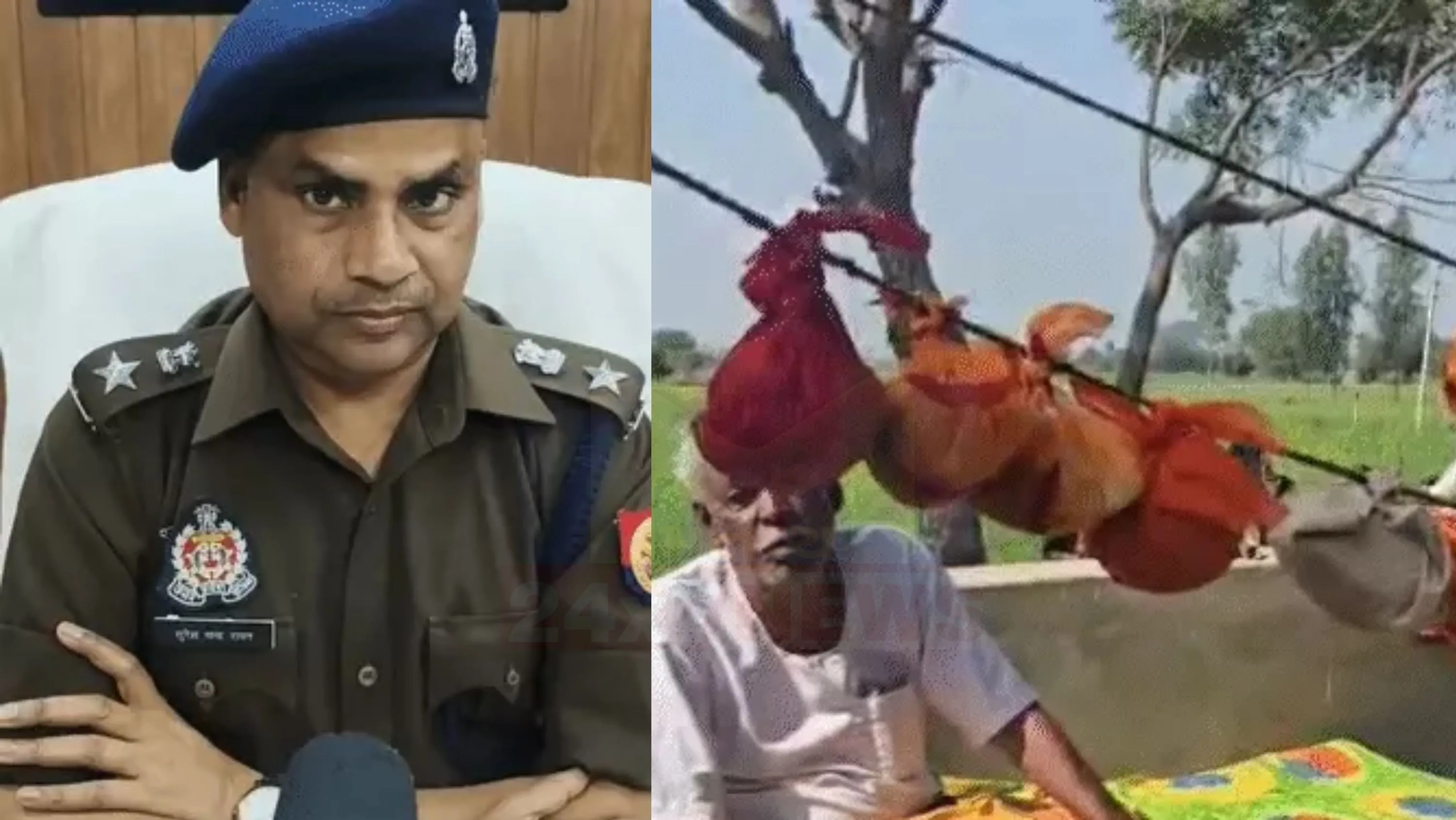 પરિવારના પાંચ સભ્યોના મોત (Family Murder)ની ઘટનામાં પ્રાથમિક તપાસમાં પોલીસની થિયરી મુજબ પતિ મનીષે પત્ની અને ત્રણ બાળકોની હત્યા (Family Murder)કર્યા બાદ આત્મહત્યા કરી હોવાની શક્યતા વ્યક્ત કરવામાં આવી છે.