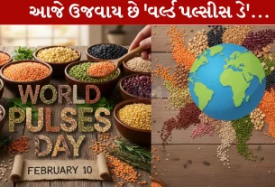 World Pulses Day ,વિશ્વ કઠોળ દિવસ, ઇતિહાસ, મહત્તા