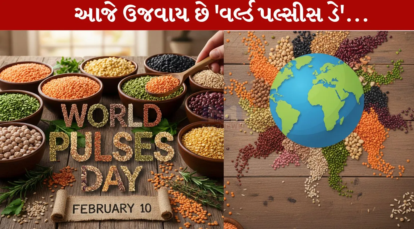 World Pulses Day ,વિશ્વ કઠોળ દિવસ, ઇતિહાસ, મહત્તા