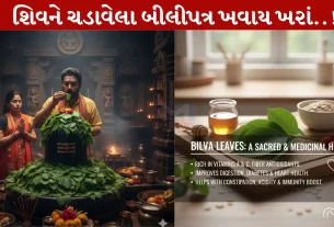 Bilipatra, ખાવાના, સ્વાસ્થ્ય, લાભ