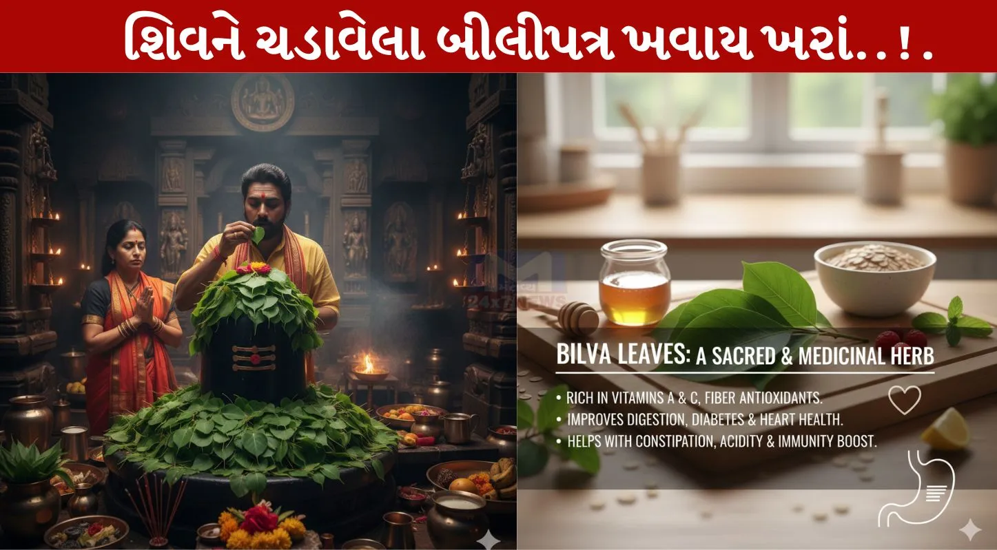 Bilipatra, ખાવાના, સ્વાસ્થ્ય, લાભ