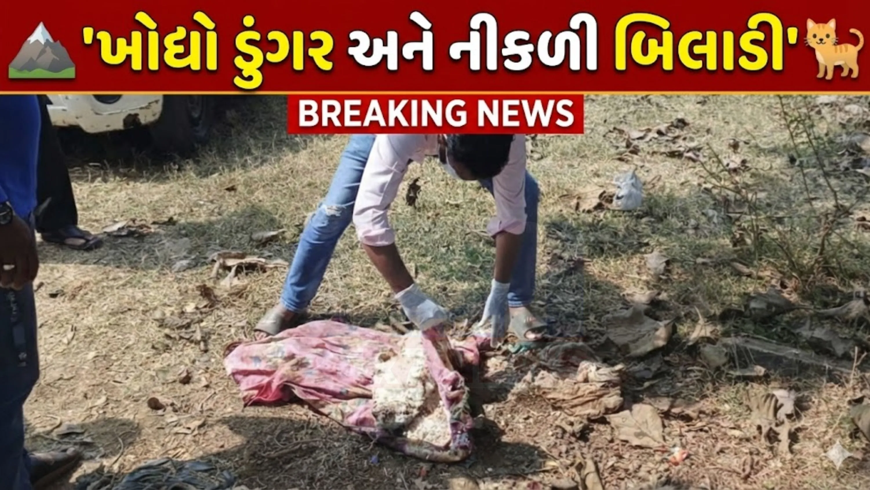 પોલીસ (Valsad Police)અને તંત્ર જે ગંભીર ગુનાની તપાસ કરવા આવ્યા હતા, તેના સ્થાને 'બિલાડીના અંતિમ સંસ્કાર' જેવો માહોલ સર્જાયો.