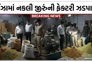 Unjha Fake Cumin Factory Raid