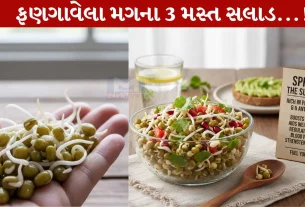 Moong Sprouts Salad,વજન ઘટાડવા,હૅલ્ધી, રેસિપી