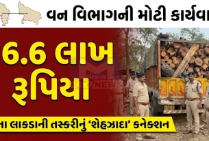 Navsari Kher Wood Smuggling
