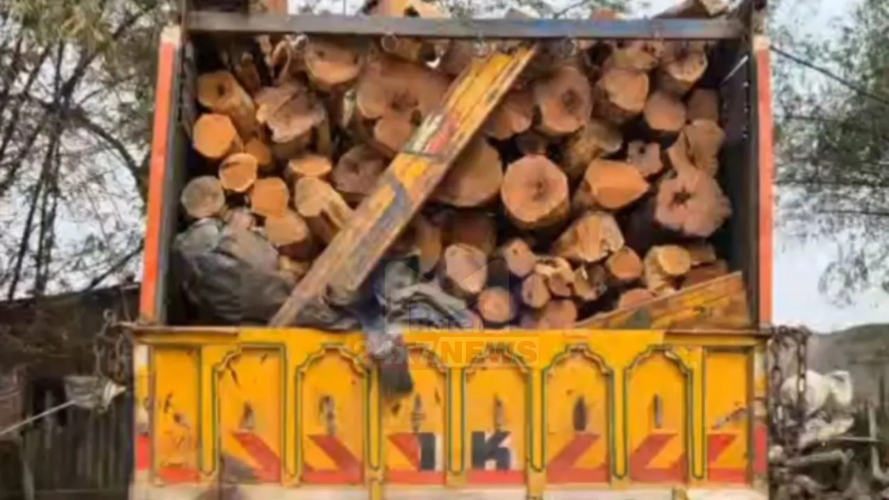 Navsari Kher Wood Smuggling
