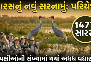 Pariyaj Wetland Saras Conservation
