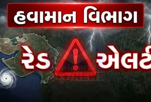 દિલ્હી-NCR સહિત ઉત્તર ભારતમાં હાલ હવામાન (Weather)મુખ્યત્વે શુષ્ક રહેશે.સવારે અને સાંજે હળવી ઠંડીનો અહેસાસ થશે