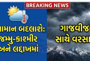 આ સમગ્ર હવામાન ફેરફાર પાછળનું મુખ્ય કારણ વેસ્ટર્ન ડિસ્ટર્બન્સ (Western Disturbance)છે. આ સિસ્ટમના કારણે ઉત્તર પશ્ચિમ ભારતના વિસ્તારોમાં ઠંડા પવનો ફૂંકાશે અને તાપમાન સામાન્ય કરતાં નીચે જઈ શકે છે.