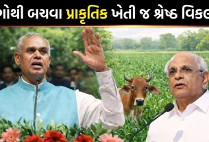 Prakrutik Kheti in Gujarat