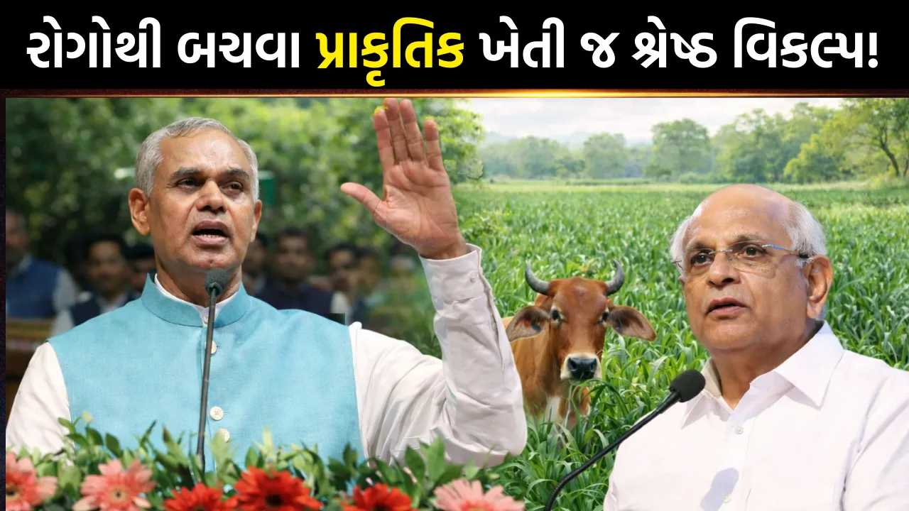 Prakrutik Kheti in Gujarat