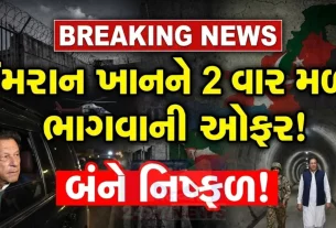 જેલમાં બંધ ભૂતપૂર્વ વડા પ્રધાન ઇમરાન ખાન (Imran Khan)ને બે વાર 'ડિલ' ઓફર કરવામાં આવી હતી, પરંતુ બંને વાટાઘાટોમાં કોઈ નિર્ણય લેવાયો ન હતો. 