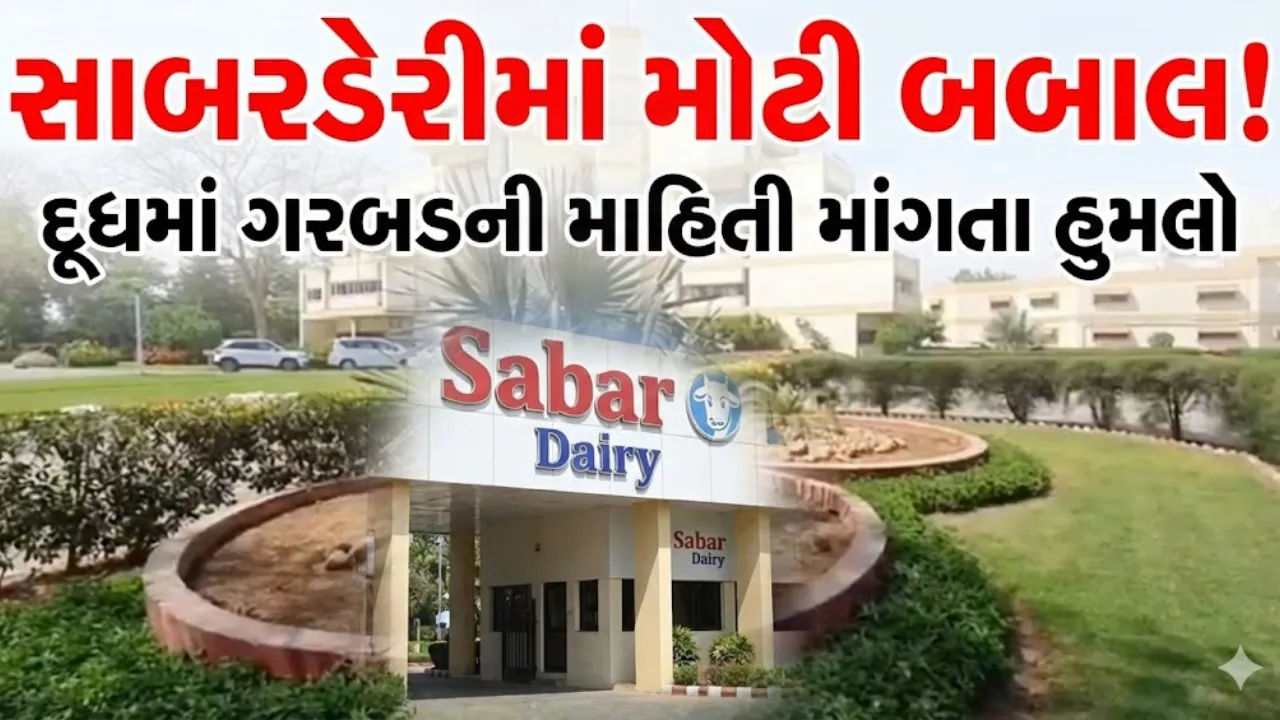 Sabar Dairy Director Fight News