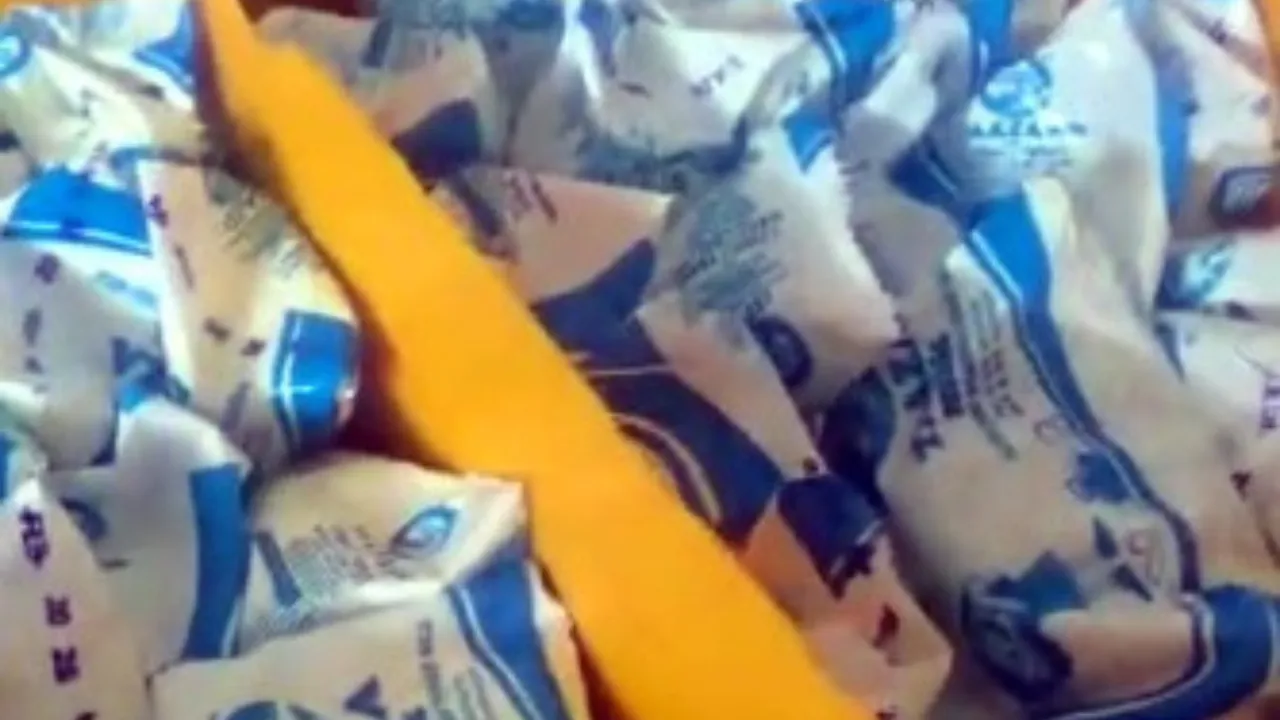 Sabarkantha Fake Milk Factory Raid