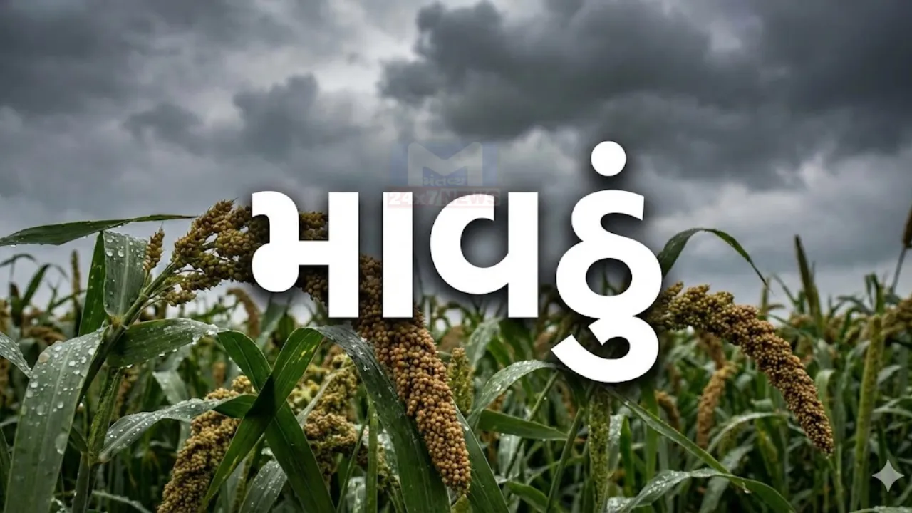 Vadali Sabarkantha Rain