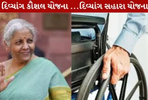 Budget 2026, બજેટ 2026, દિવ્યાંગ