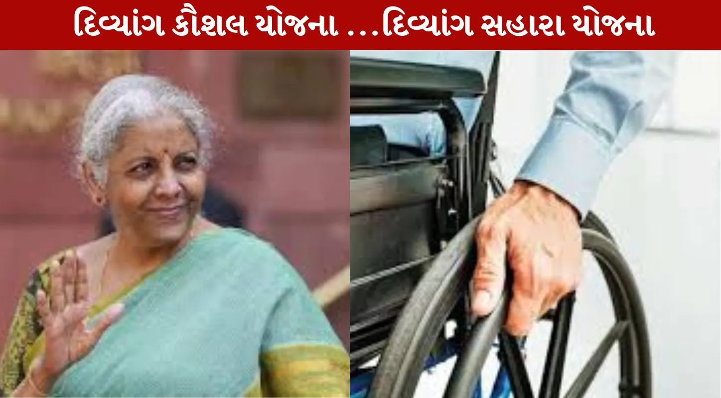 Budget 2026, બજેટ 2026, દિવ્યાંગ
