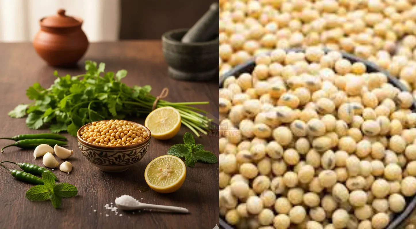 Soybean Chutney, સોયાબીનની ચટણી, પ્રોટીન,સ્વાદિષ્ટ