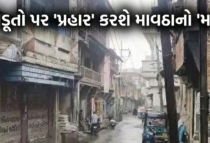રાજ્યના વાતાવરણ(Climate)ના પલ્ટાએ ખેડૂતોની ચિંતા વધારી