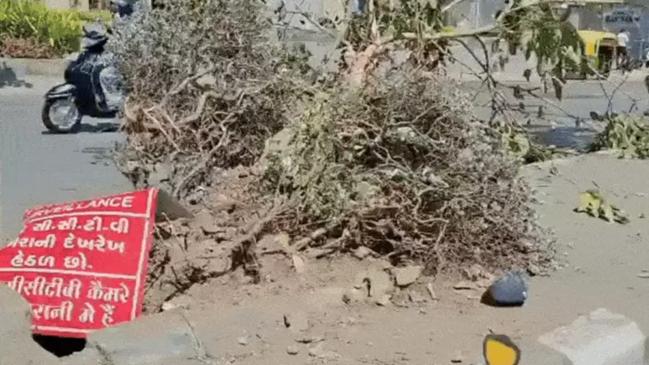 Surat Piplod Car Accident