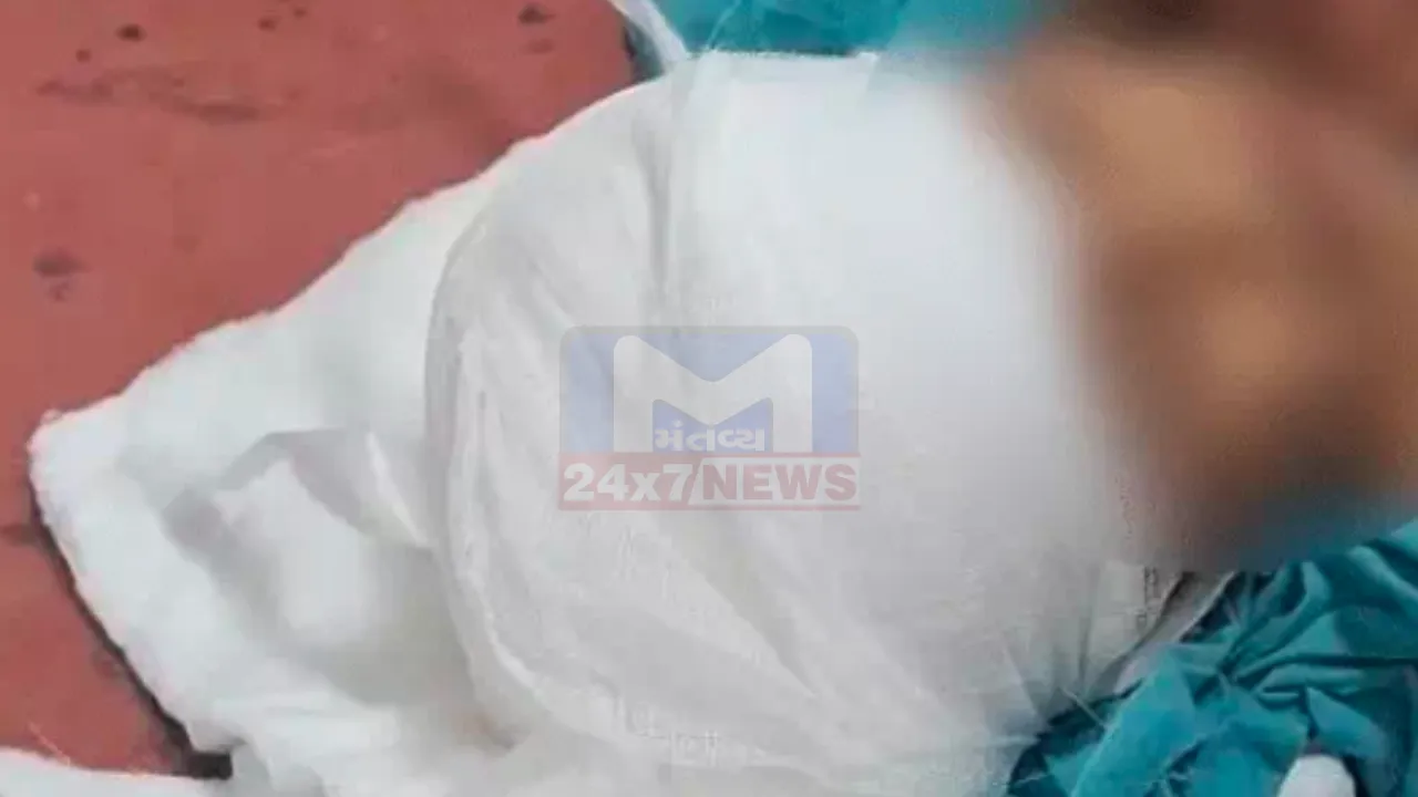 Surat Stray Dog Attack News