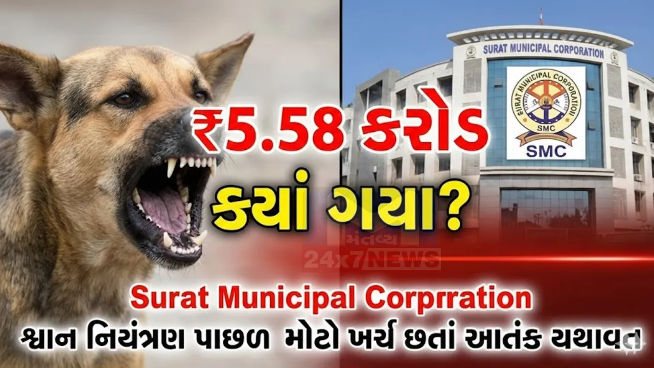 Surat Stray Dog Attack News